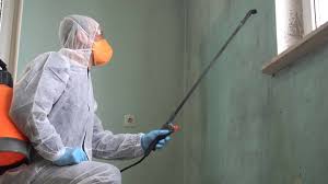 Biohazard Mold Removal in Valley Falls, SC